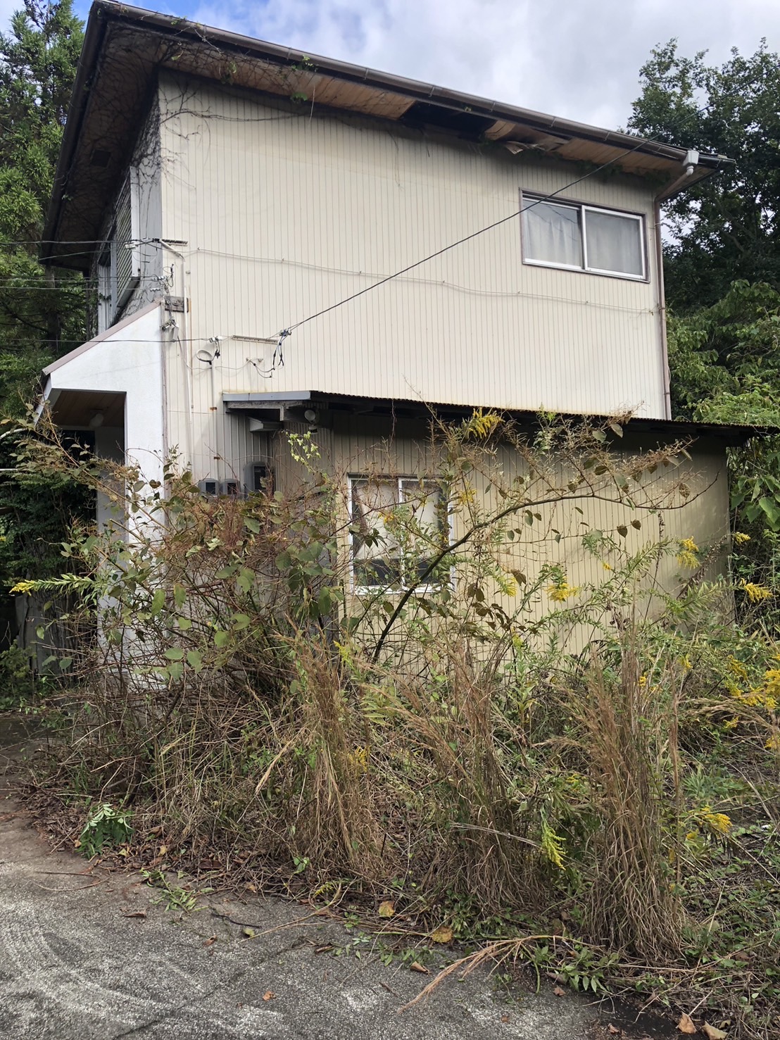 徳島県板野郡板野町大坂字関東